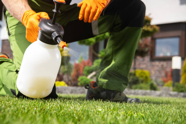 Best Pest Removal Services  in Copperton, UT