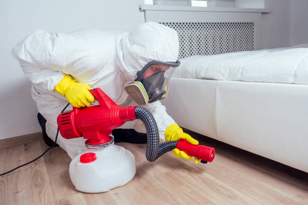 Trusted Copperton, UT Pest Control Experts