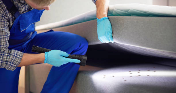 Best Affordable Pest Control Services  in Copperton, UT