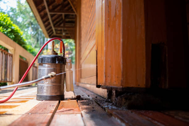 Best Best Pest Control Companies  in Copperton, UT