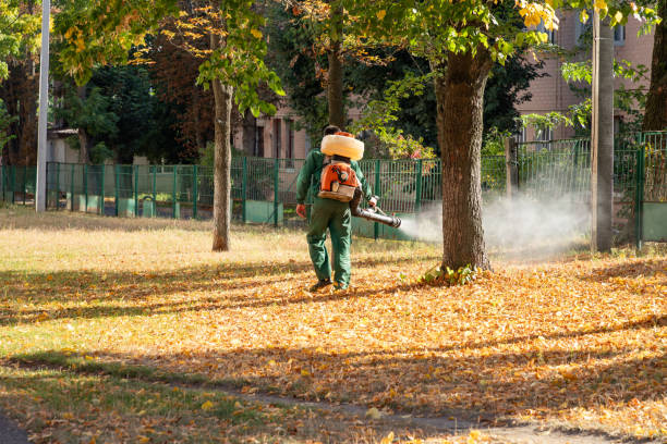 Best Flea Control Services  in Copperton, UT
