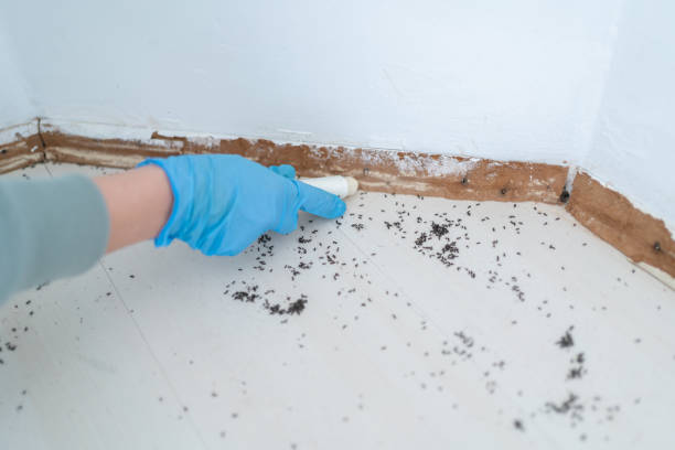 Best Emergency Pest Control  in Copperton, UT