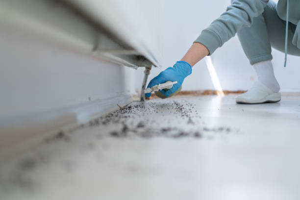 Best Mosquito Control Services  in Copperton, UT