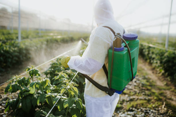 Best Wildlife Control Services  in Copperton, UT